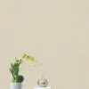 PAPEL DE PAREDE HOMEHAUS IMPORTADO TEXTURA VINÍLICO LUXO WI605